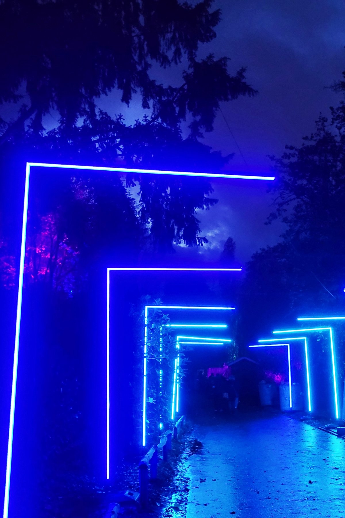 Ein Weg in der Dunkelheit, auf dem der Besucher durch quadratische Lichtinstallationen geleitet wird.