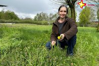 Anke Langenbach hockt auf einer Wiese und zeigt Wildkräuter in die Kamera.