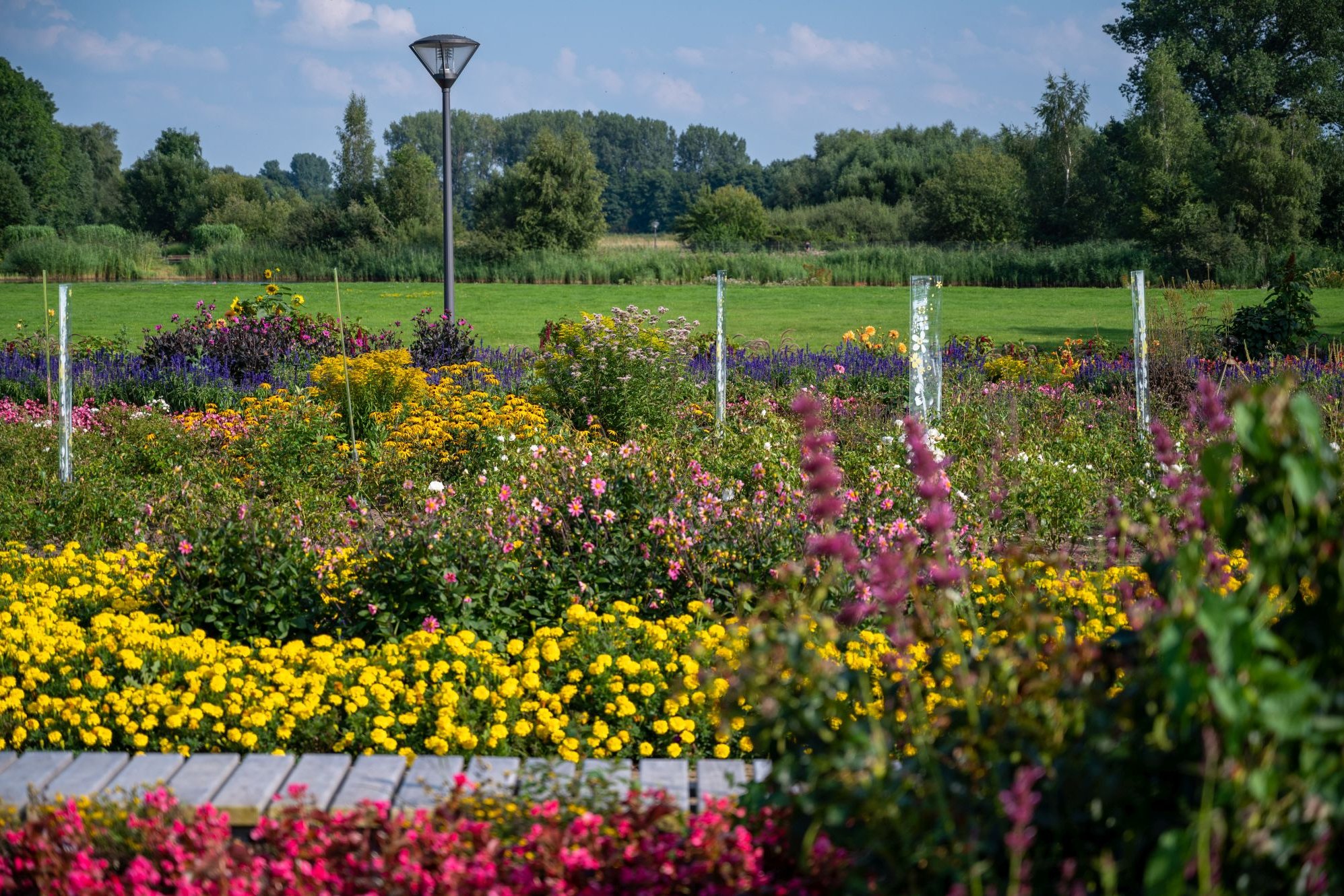 Bunte Blumen im Gartenschaupark