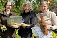 Die Umweltpädagoginnen des Grünen Klassenzimmers mit Unterrichtsmaterial, darunter Wildkräuter, ein ausgestopftes Eichhörnchen und ein kleines Windrat.