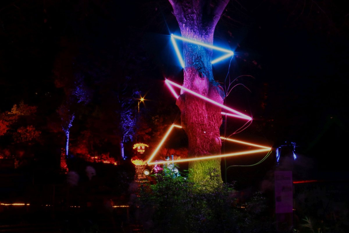 Ein mit bunten Lichtern umwickelter Baum.