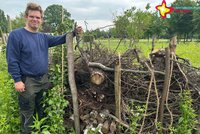 Fynn Wittreck steht an der neuen Totholzmauer.