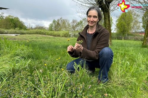 Biologin Anke Langenbach hockt auf einer Wiese, einige Wildkräuter hält sie in der Hand.