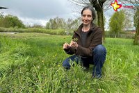 Biologin Anke Langenbach hockt auf einer Wiese, einige Wildkräuter hält sie in der Hand.